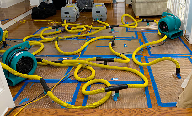 Professional Structural Drying And Dehumidification technician working in Smithers, WV