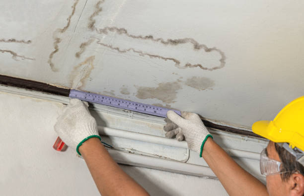Affordable Water Damage Repair solutions in Smithers, WV